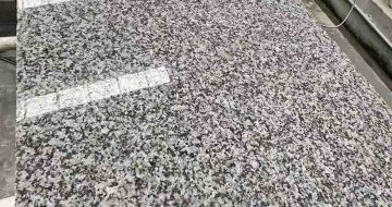 南昌 芙蓉白光面
