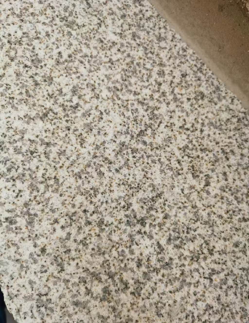 南昌 黄金麻中黄光面